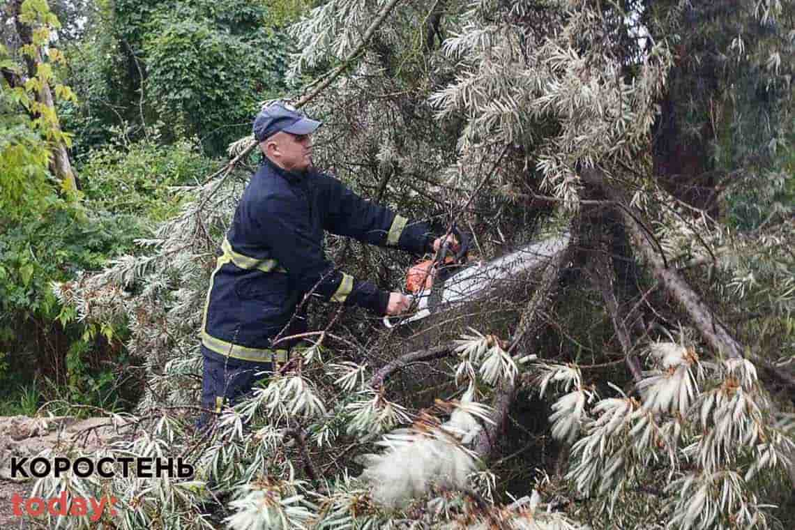 Коростенські рятувальники звільняли дороги від повалених дерев