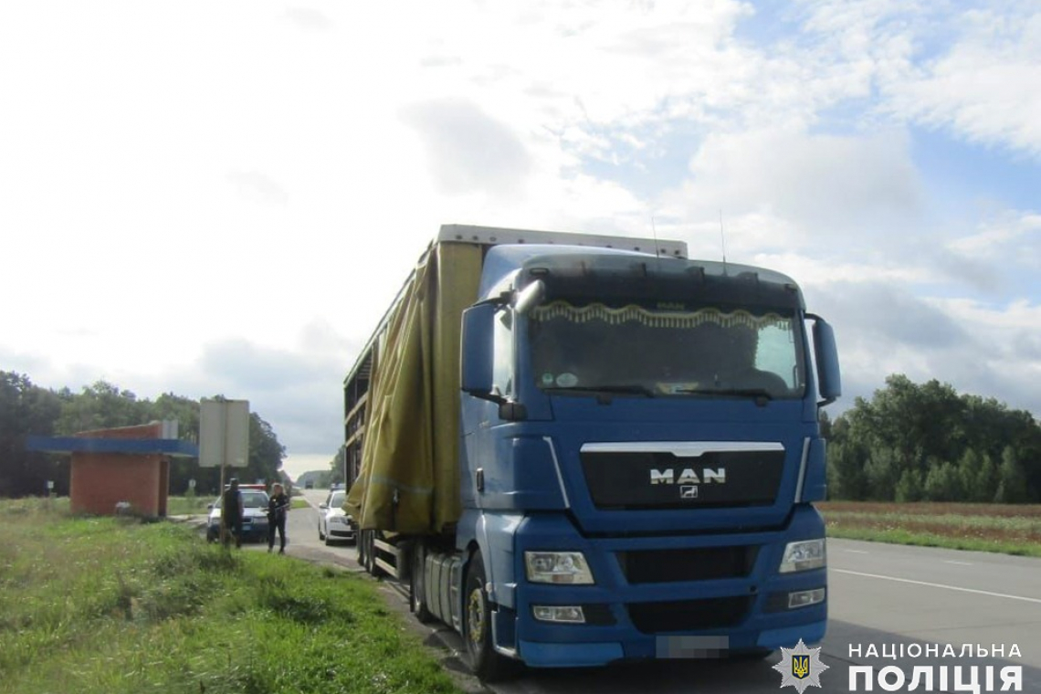 Поблизу Олевська поліцейські зупинили MAN з деревиною: водій з Рівненщини не мав супровідних документів