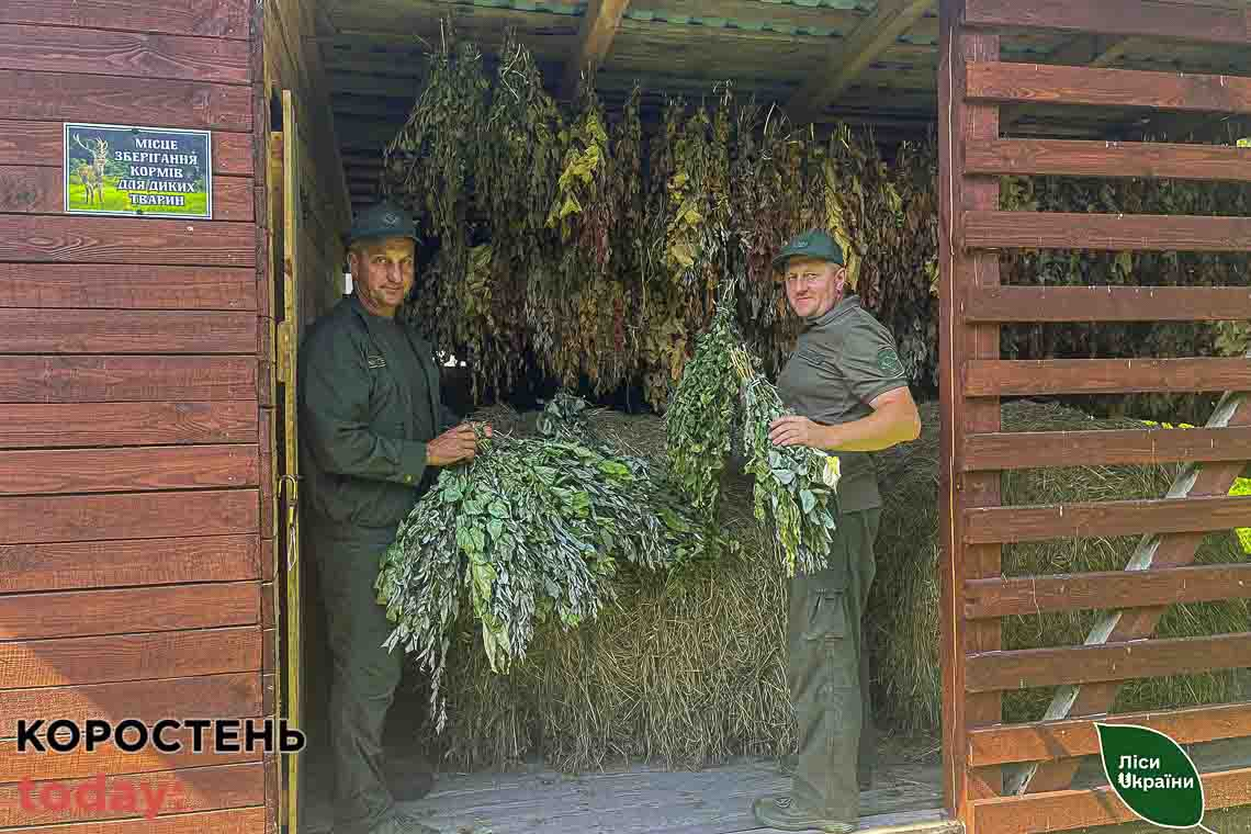 На Житомирщині лісівники завершують заготівлю кормів для диких тварин