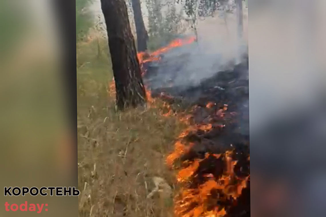 Поблизу Коростеня рятувальники ліквідовували займання сухостою