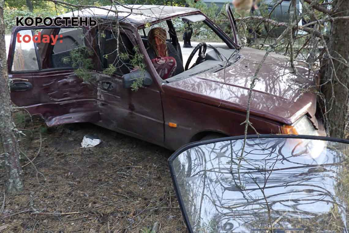 Між селами Народицької громади ЗАЗ врізався у дерево: двох травмованих госпіталізували