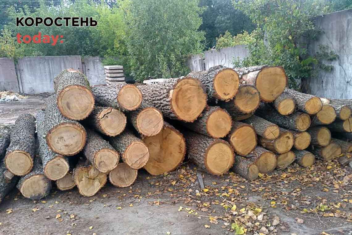 На Олевщині поліцейські "розбираються" з приватною лісопильнею та походженням деревини
