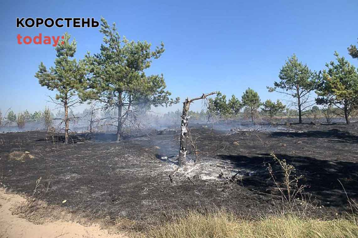 Коростенські рятувальники закликають людей перестати палити сухостій