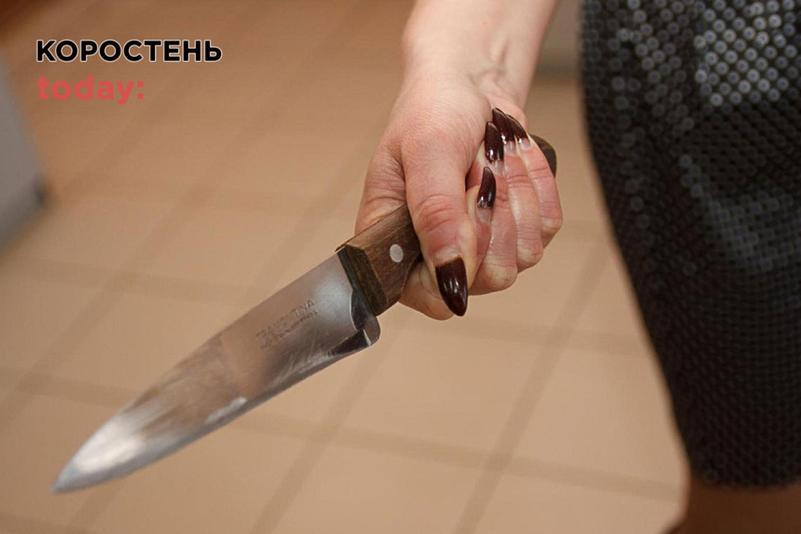 Плітки, "розбірки", а потім вбивство чужого квартиранта на Житомирщині - жителька Фастова сяде за ґрати на 12 років 