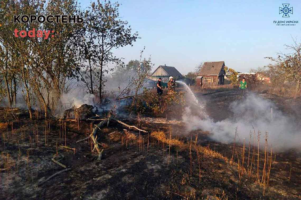 Неподалік житлових будинків у Коростені горіла суха трава: через вітряну погоду вогонь гасили більше 3 годин