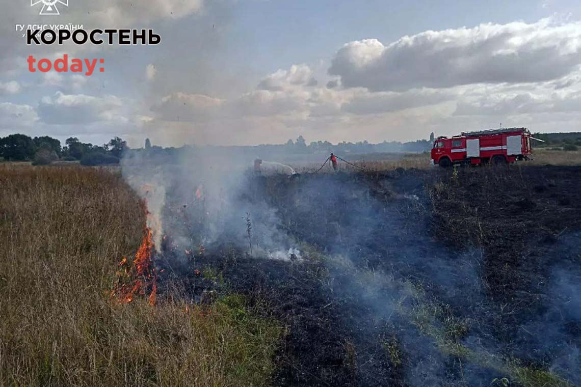 У Коростені рятувальники гасили вогонь, який наближався до гаражного кооперативу