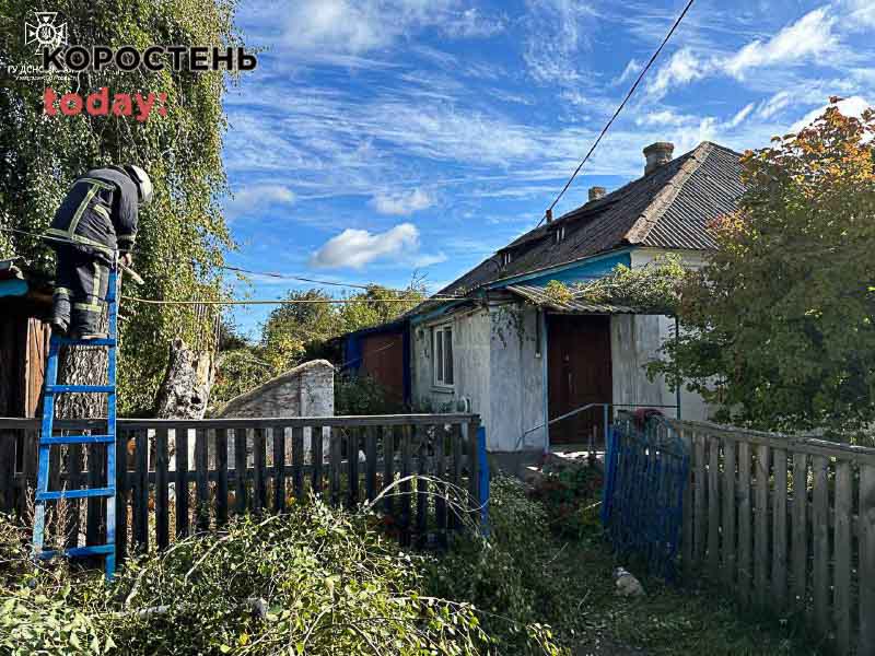 Lygunu der101023 kor 3 min