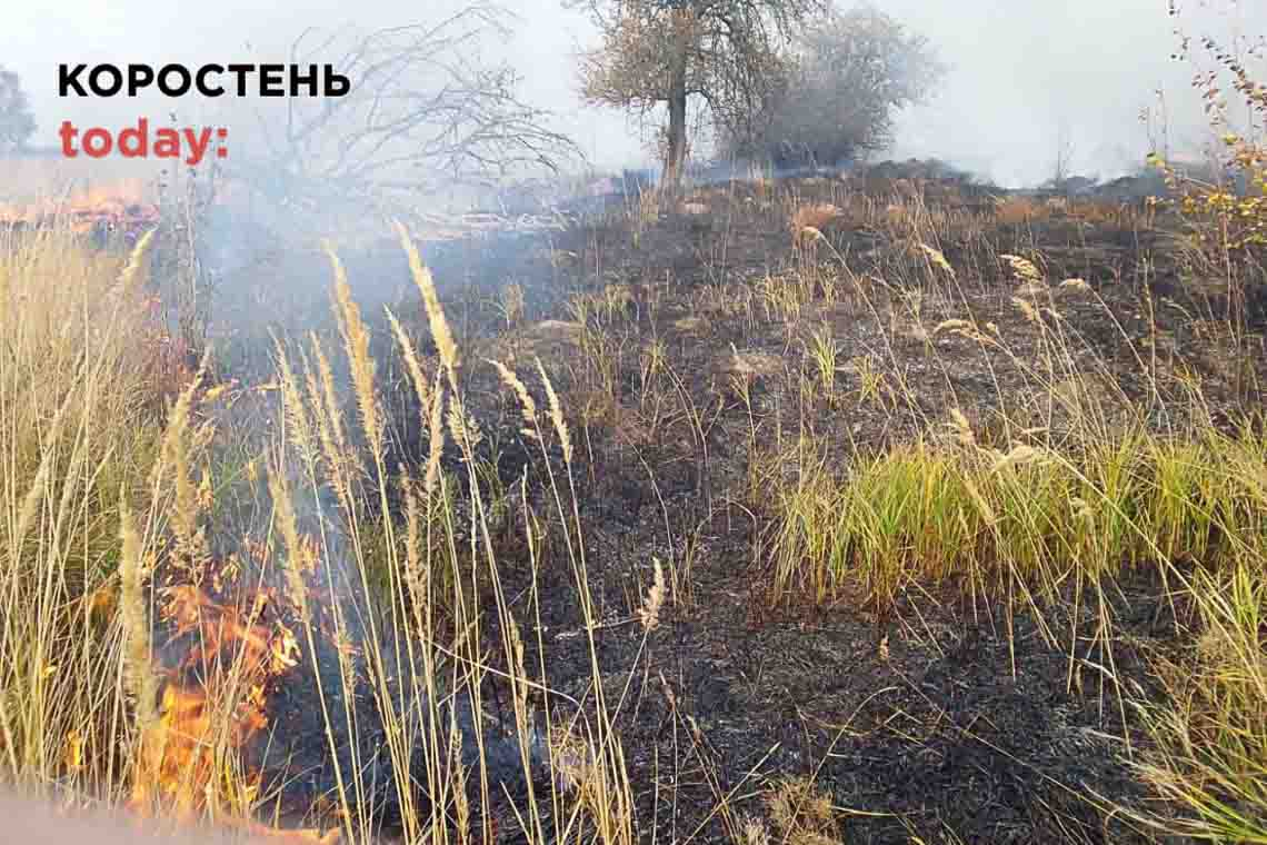 Поблизу одного з селищ Коростенського району рятувальники 5 годин гасили займання торфу