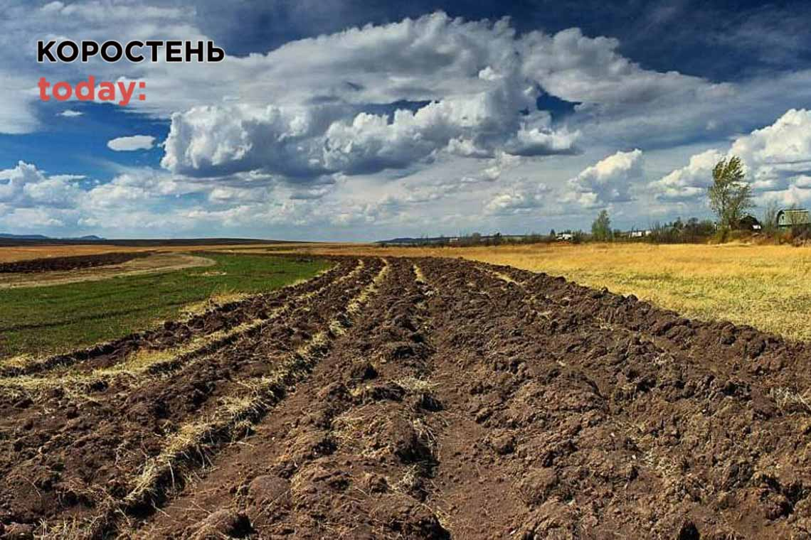 Лугинська сільрада передала ТОВ земельні ділянки, де зростають півстолітні дерева, але прокуратура повернула території