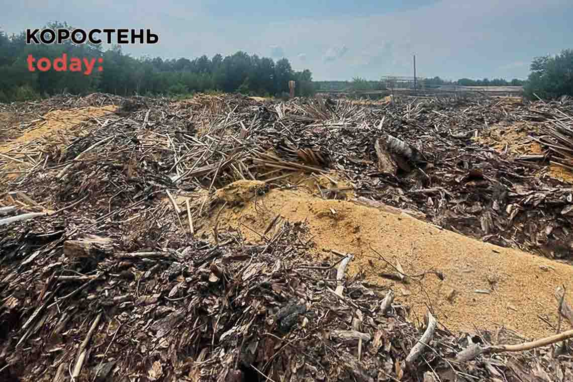 Екологи перевірили територію Овруцького лісгоспу та нарахували збитків на понад 1,5 млн грн