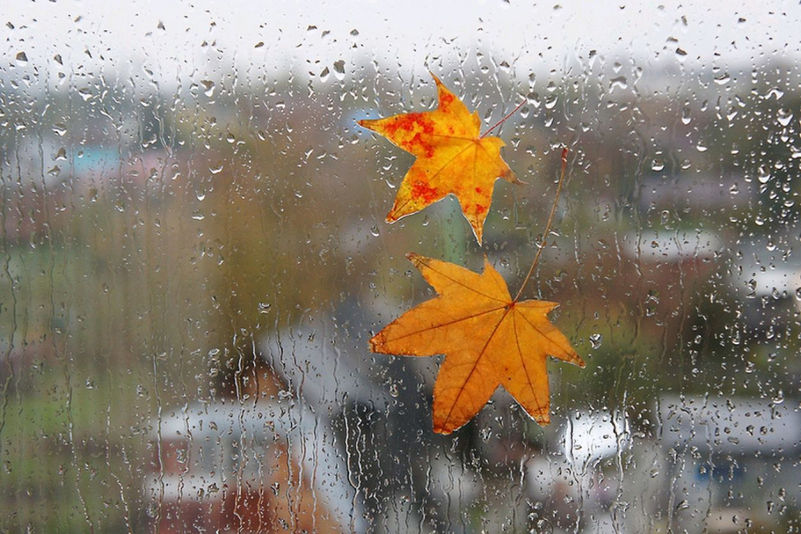 В останні вихідні жовтня у Коростені очікується дощ