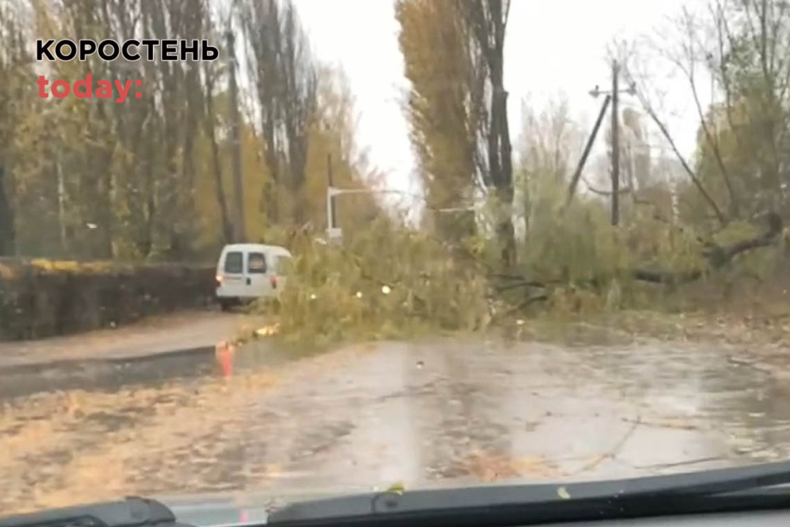 В області аварійні відключення світла, а у Коростені дерево впало на дорогу