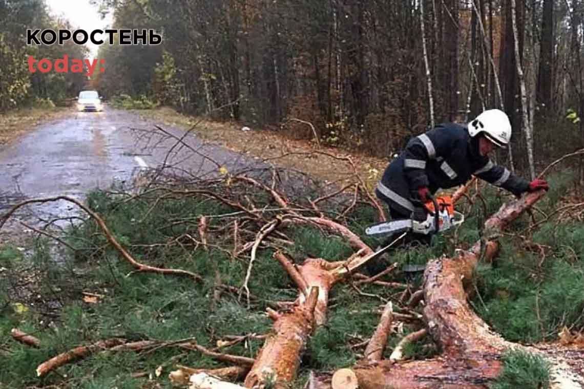 На Коростенщині рятувальники прибирали повалені негодою дерева та допомогли "швидкій", яка застрягла на бездоріжжі