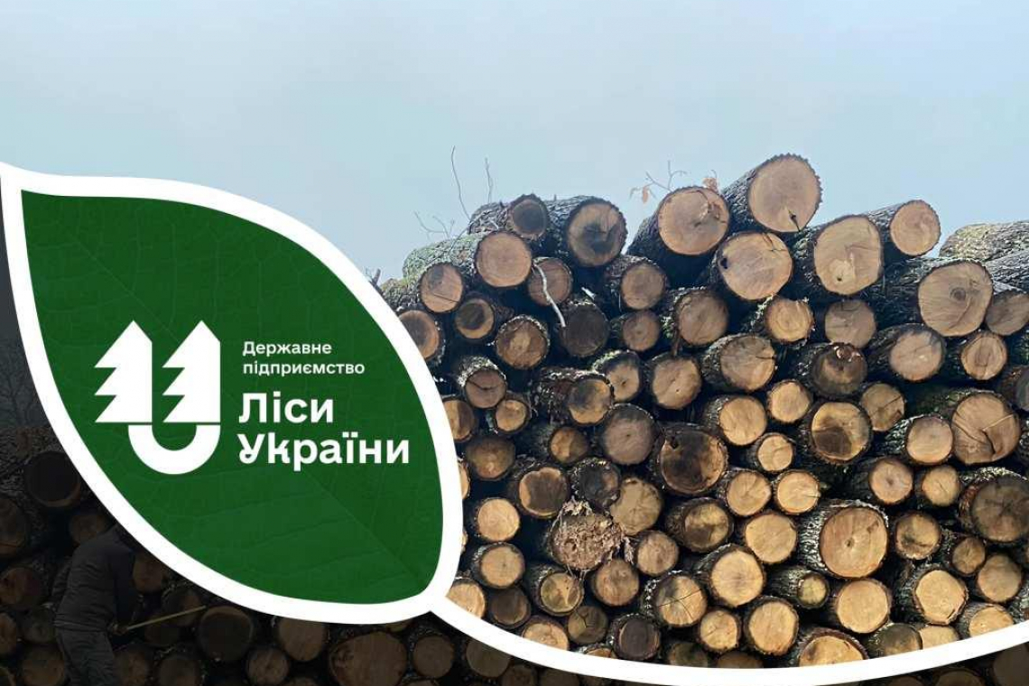 На проміжному складі лісництва Овруцької філії виявили необліковану деревину на суму 500 тис. грн