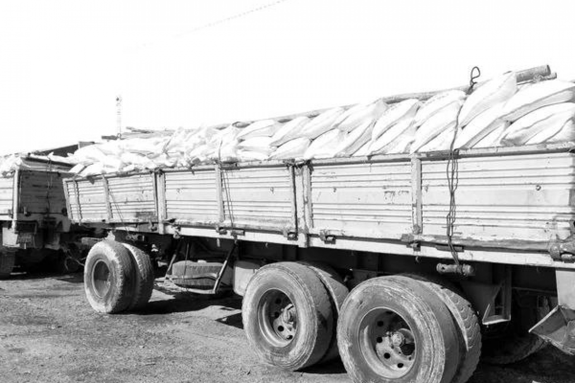 Коростень чекає на вантажівки з сіллю, які застрягли на польському кордоні