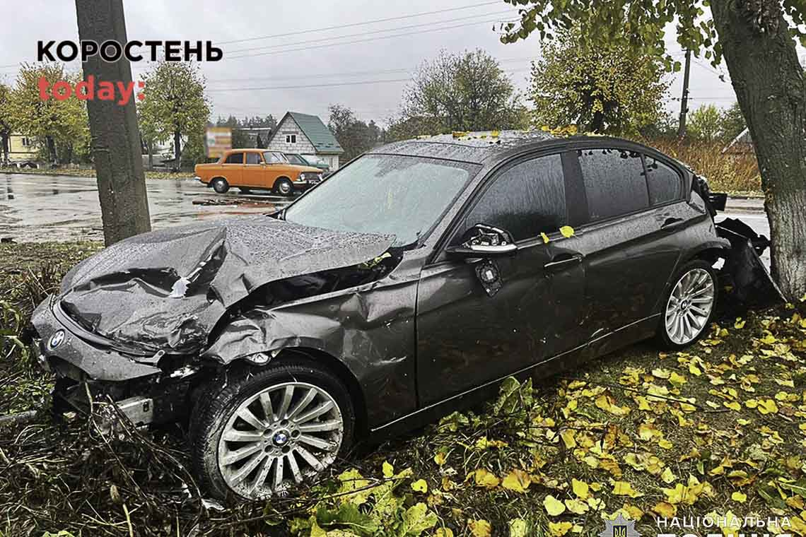 На Коростенщині з початку року поліцейські зареєстрували близько 400 ДТП: 16 людей загинули