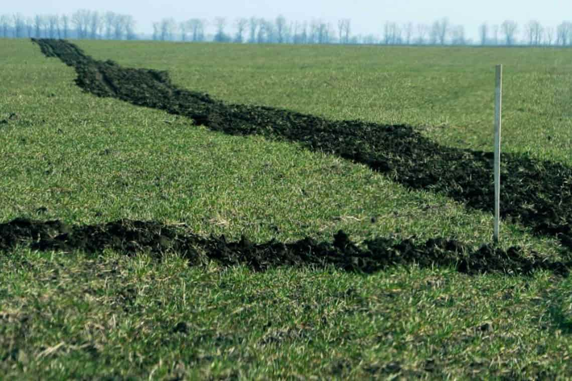 Малинській громаді повернули земельні ділянки сільгосппризначення вартістю 663,6 млн грн