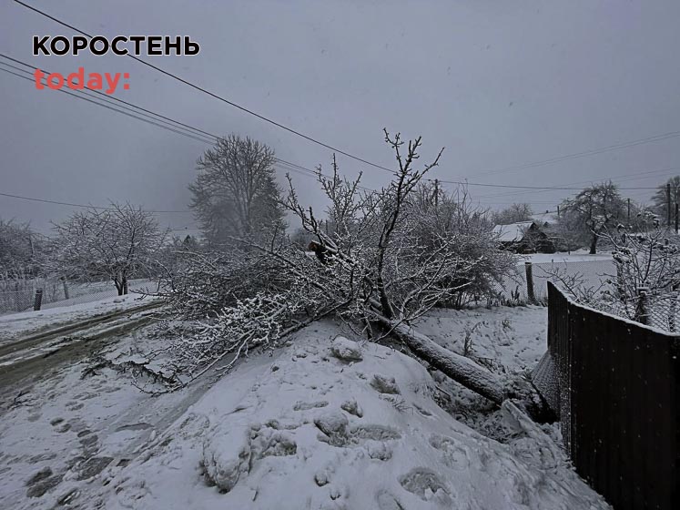 olevsk151223 kor 2 min