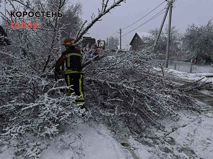 olevsk151223 kor 3 min