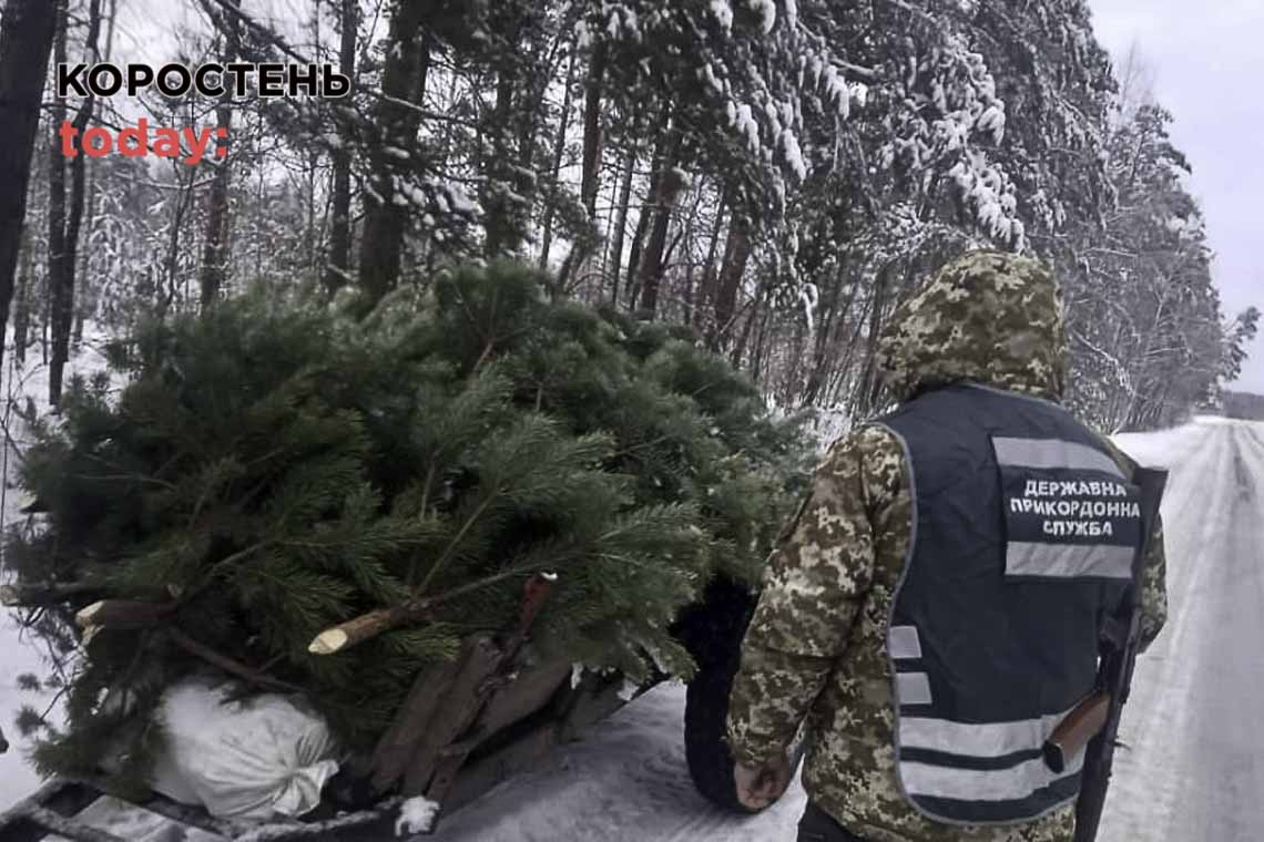 На автодорозі в Коростенському районі прикордонники зупинили трактор  незаконно вирубаними соснами