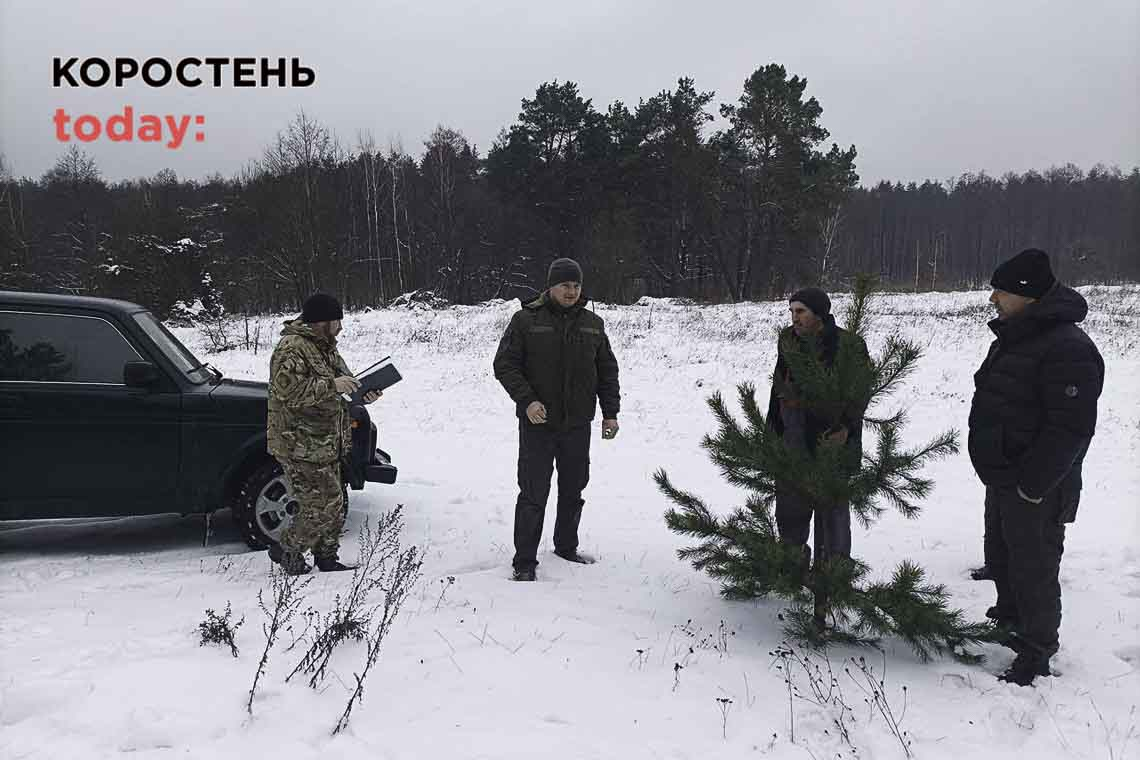 На Житомирщині за нелегальну заготівлю новорічних дерев склали майже 20 протоколів