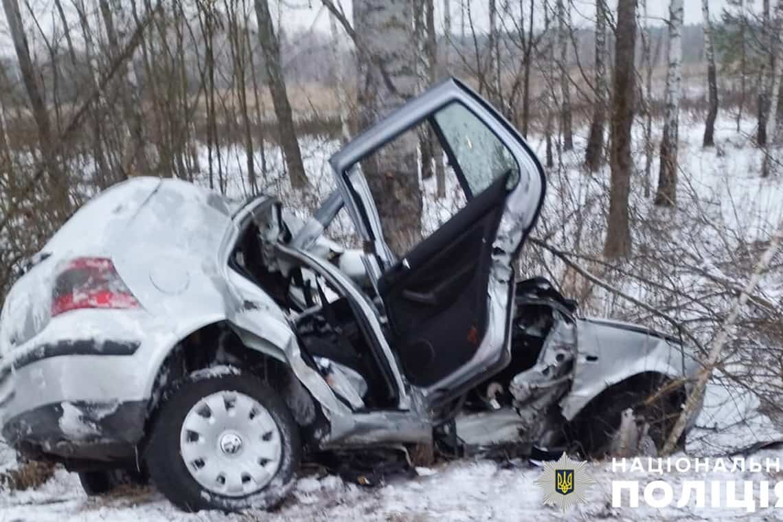 На Малинщині п'яний водій на Volkswagen врізався у дерево: загинув пасажир