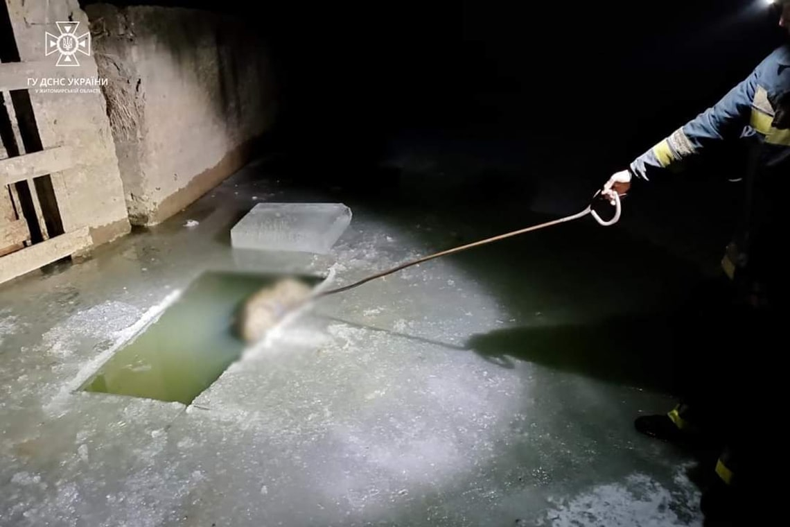 На ставку в Житомирській області за допомогою камер підводної зйомки виявили тіло чоловіка
