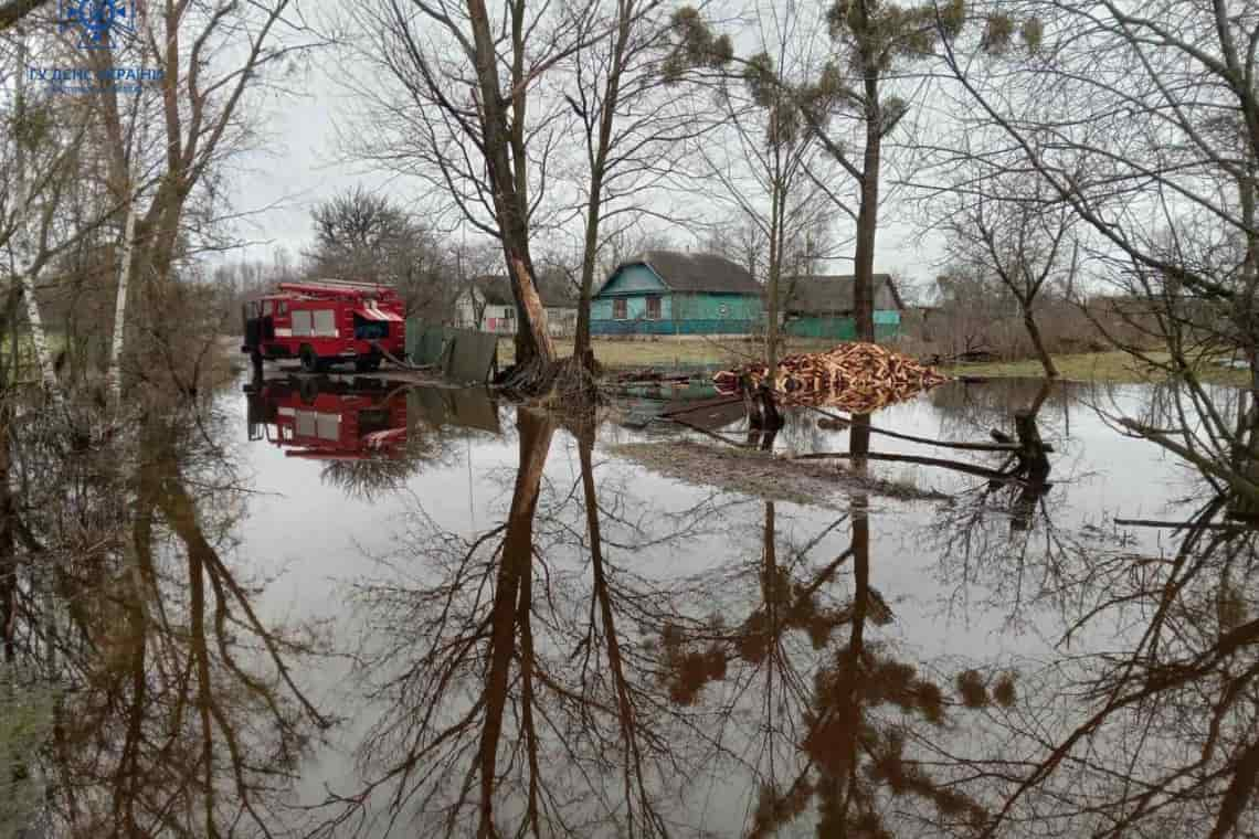 У Коростені рятувальники відкачували воду з підвалів, а на Олевщині - біля приватного будинку