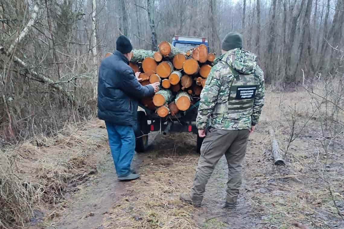 На одній з лісових доріг Коростенщини прикордонники зупинили трактор з вільхою та знайшли місце незаконної порубки дерев