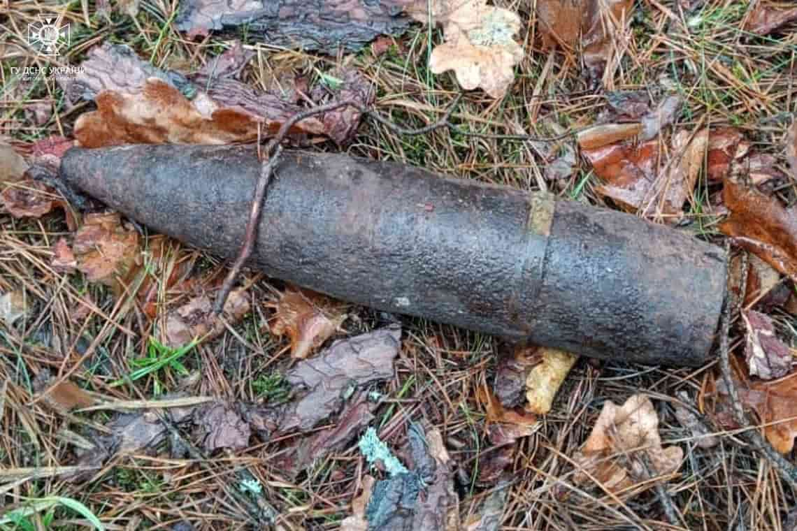 Поблизу Малина та на території Народицької громади люди знайшли снаряд й дві авіаційні ракети