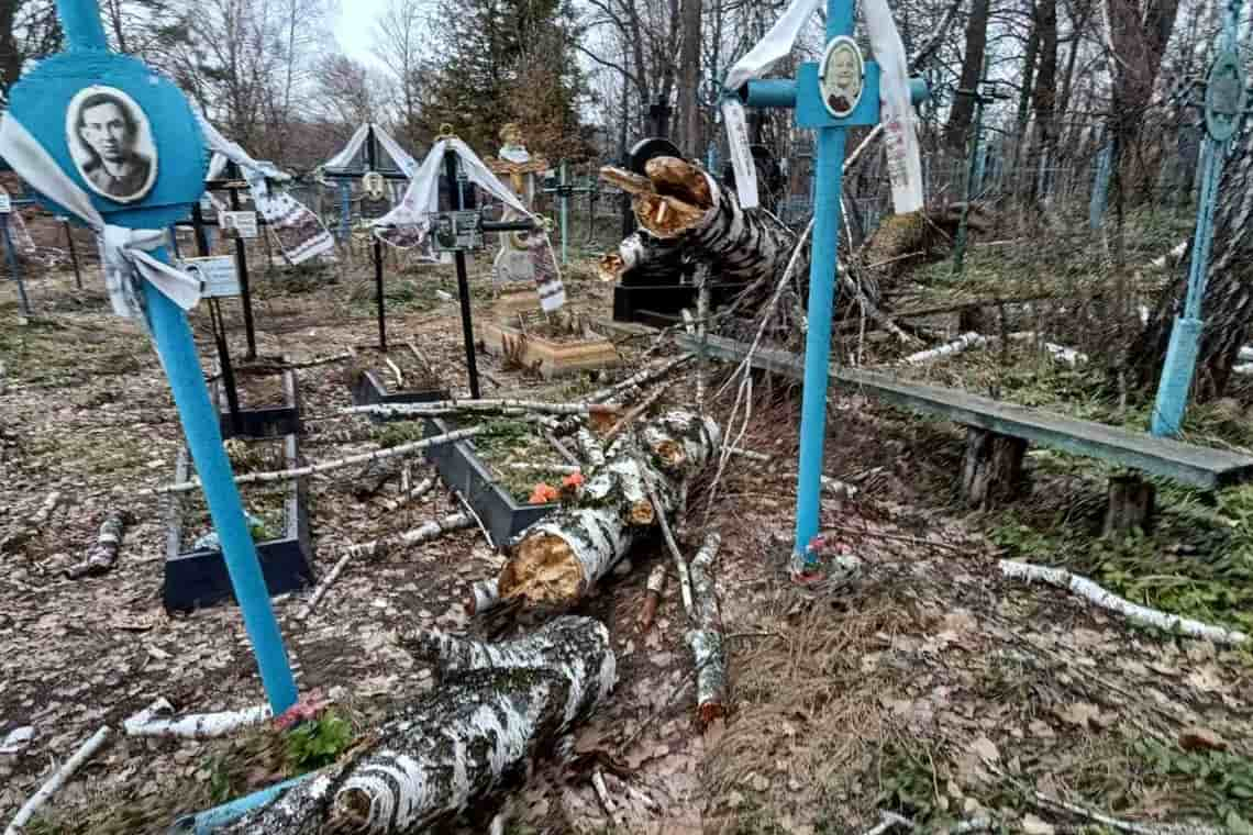 На території Народицької громади буревій поламав дерева, які понівечили могили на цвинтарі