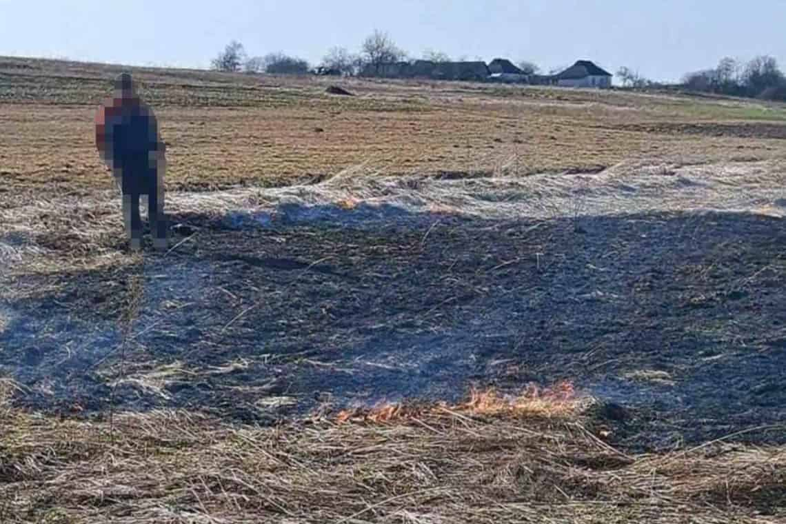 Екологи вже реєструють перші факти спалювання сухої трави на Коростенщині: які штрафи передбачені