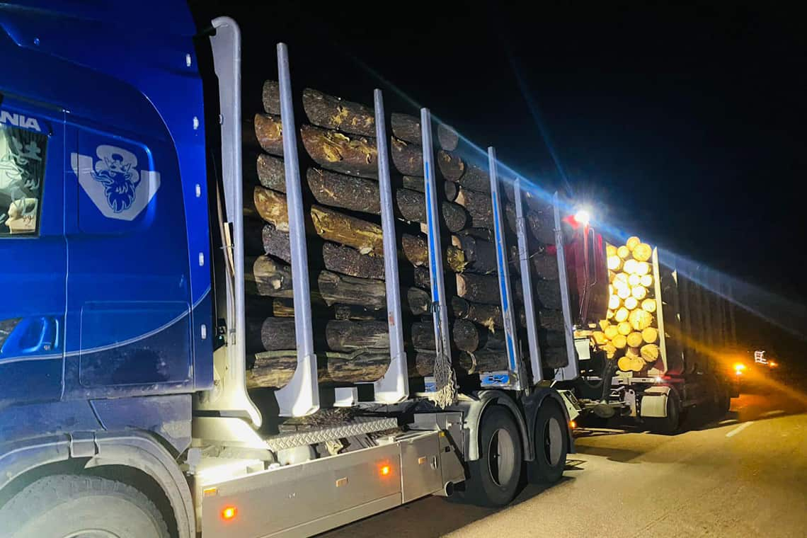 На Коростенщині прикордонники зупинили дві вантажівки, які незаконно перевозили лісодеревину