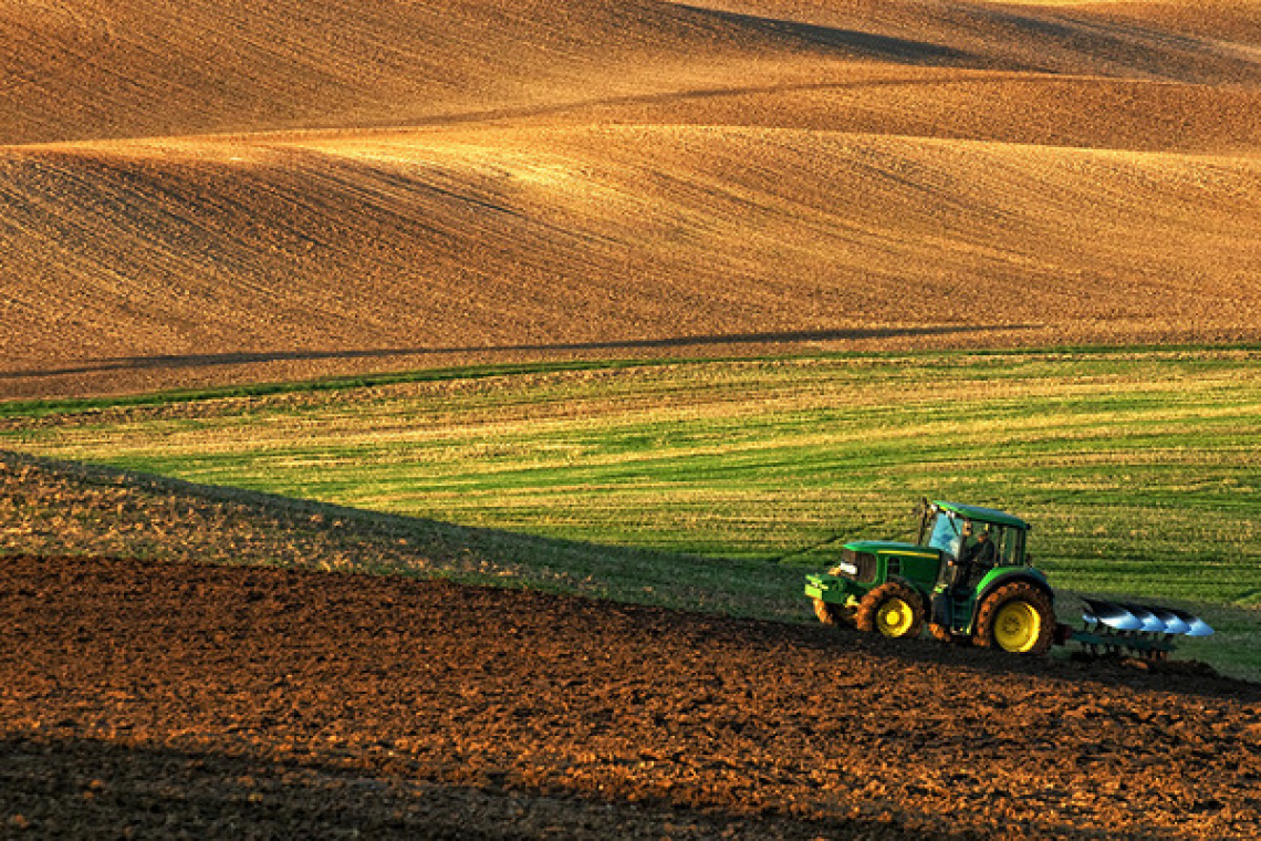 Олевській громаді повернули 66 земельних ділянок, якими незаконно користувалось агротовариство