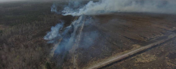 У Коростенському районі рятувальники загасили масштабну пожежу поблизу села Миролюбів 