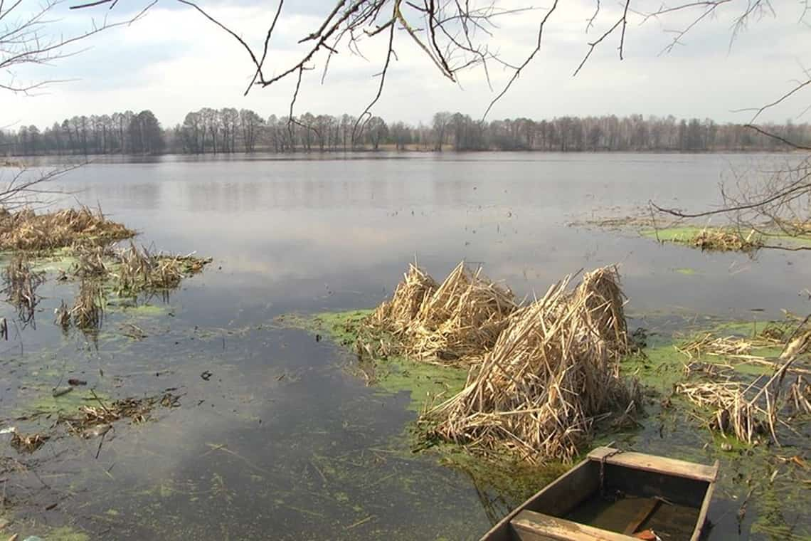 Майже 500 метрів риболовних сіток вилучили під час рейду водоймами Коростенського району 
