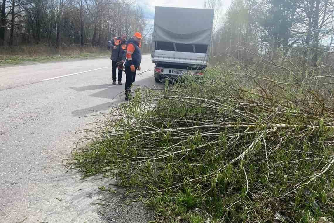 На трасі в Коростенському районі дорожники прибирали повалені дерева після шквального вітру