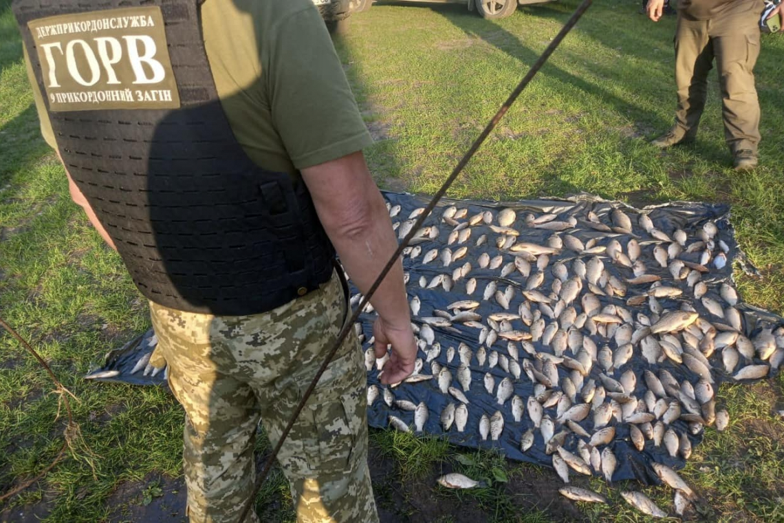На Коростенщині двоє чоловіків незаконно ловили рибу в річці Уж: сума збитків - понад 500 тис. грн