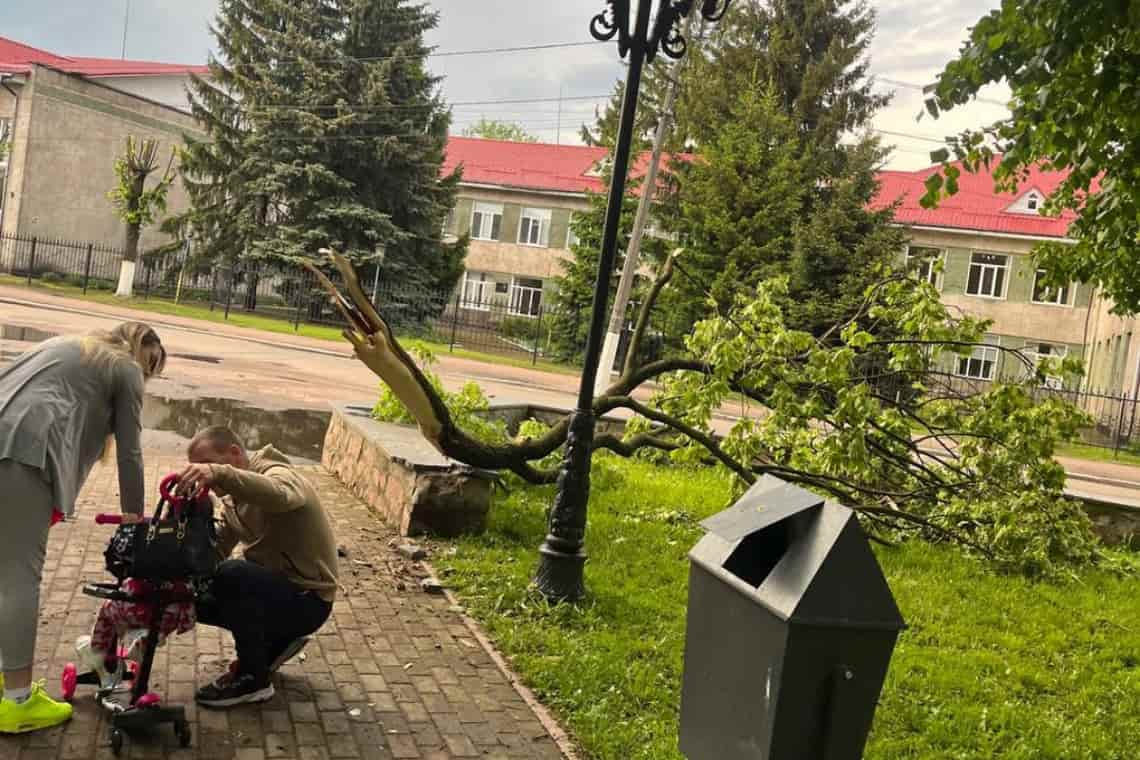 В Овруцькому парку шквальний вітер поламав дерева (ФОТО)