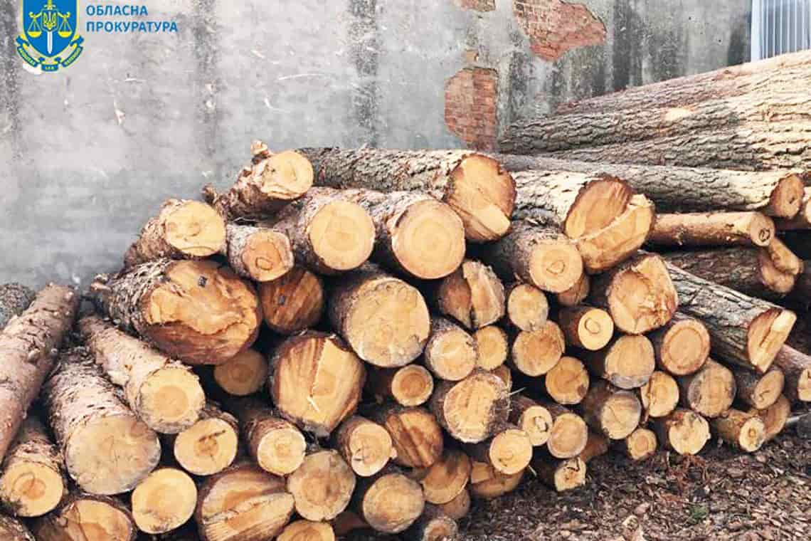 В області судитимуть осіб, які переробляли деревину на підприємствах Коростенщини та незаконно вивозили за кордон