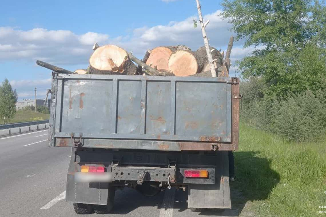 На трасі в Коростенському районі патрульні зупинили вантажівку з деревиною: водій не мав дозвільних документів