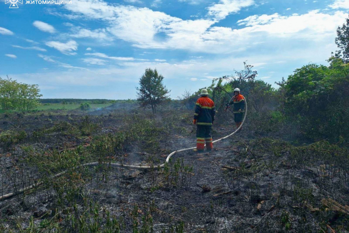 Минулої доби найбільше пожеж в екосистемах сталися в Коростенському та Бердичівському районах, - ДСНС