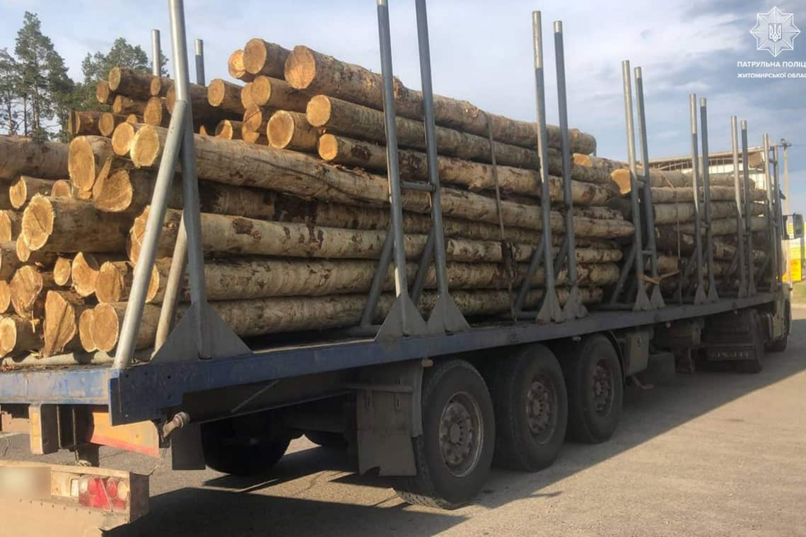 На автодорозі в Коростенському районі патрульні затримали водія вантажівки, який перевозив деревину без документів