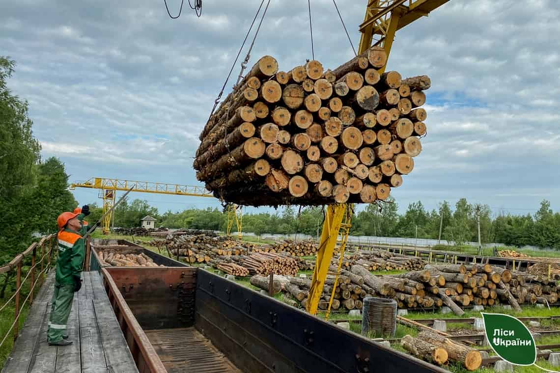 На будівництво захисних споруд: лісівники Житомирщини заготовляють деревину для військових