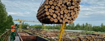 На будівництво захисних споруд: лісівники Житомирщини заготовляють деревину для військових