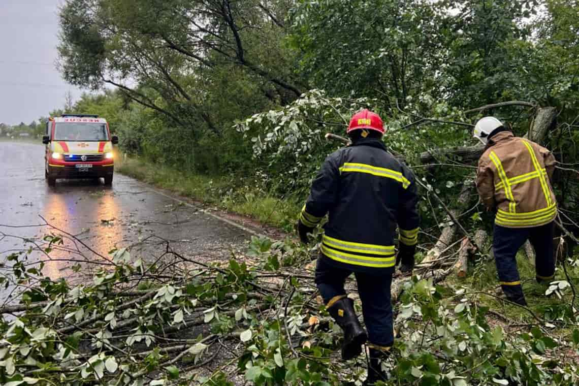 Через негоду на Овруччині впало дерево та пошкодило лінії електропередач