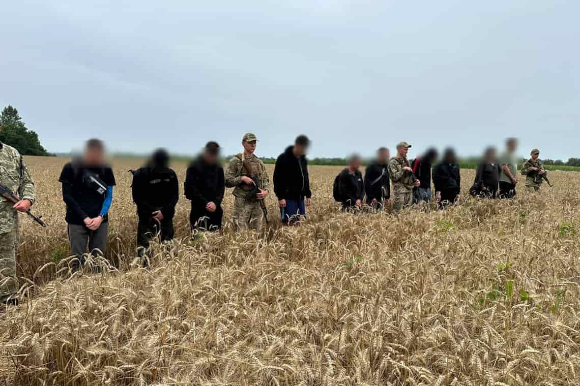 Посеред пшеничного лану прикордонники затримали десятеро ухилянтів, серед них – жителі Житомирщини