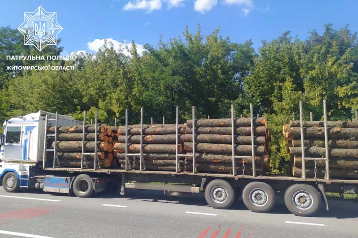 У Коростенському районі патрульні зупинили КамАЗ: водій не зміг пояснити походження дубів, які перевозив