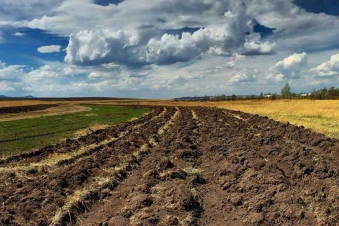 Безпідставно використав державний акт на землю - Коростенській громаді повернуть сільгоспугіддя вартістю понад 97 млн грн