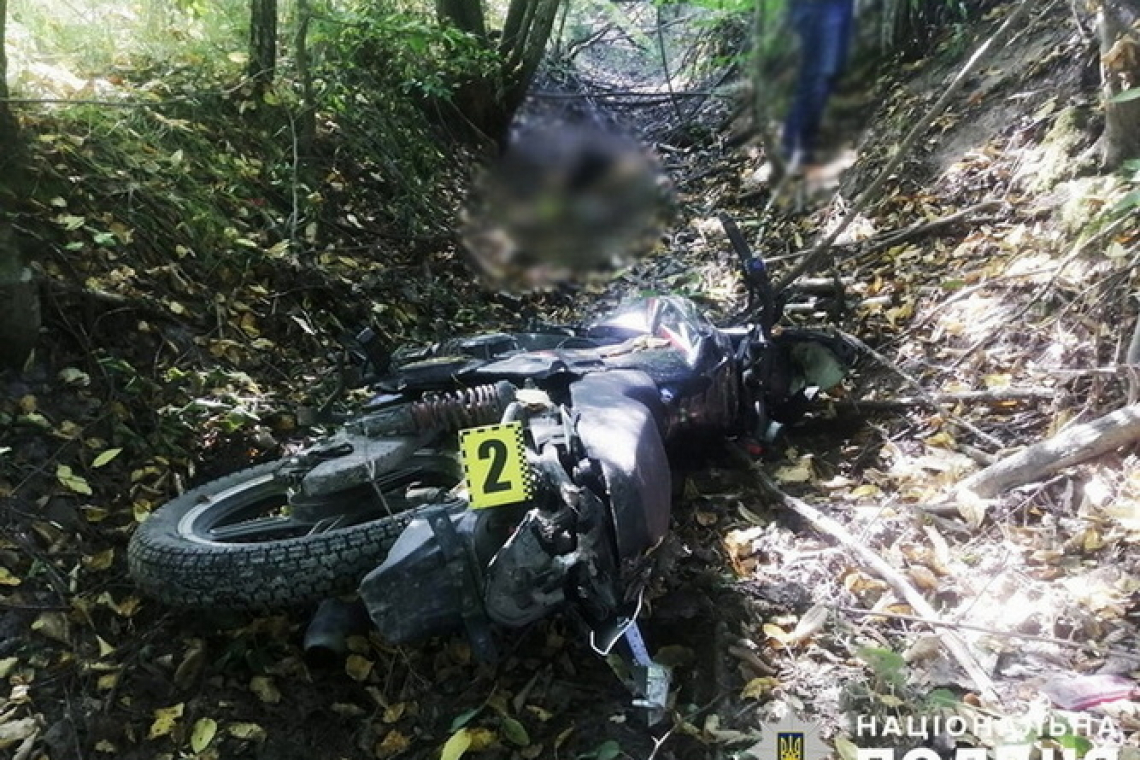 На Олевщині у лісопосадці виявили тіло 21-річного чоловіка - поліція з'ясовує обставини події